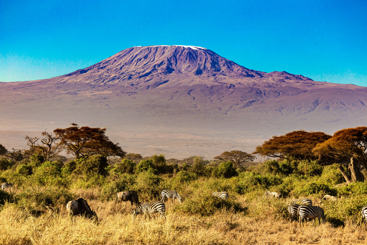 Lemosho route - Kilimanjaro
