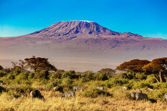 Lemosho route - Kilimanjaro