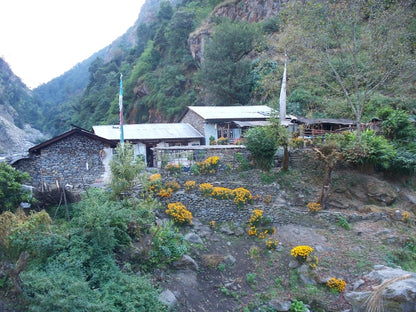 Langtang Valley tea house trek