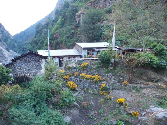 Langtang Valley tea house trek