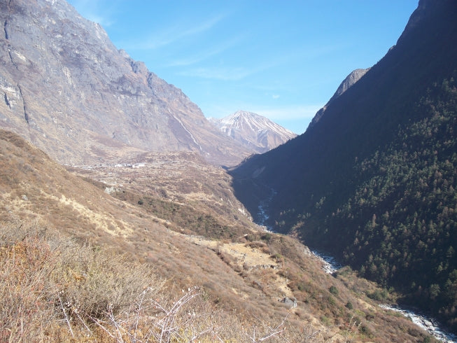 Langtang Valley tea house trek