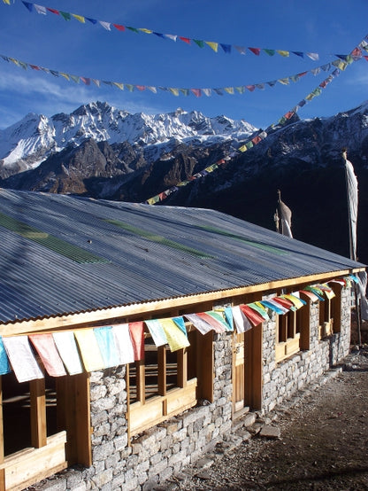 Langtang Valley tea house trek