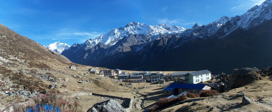 Langtang Valley tea house trek