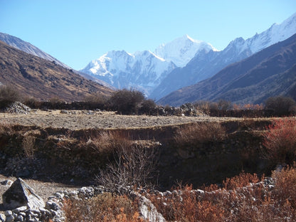 Langtang Valley tea house trek