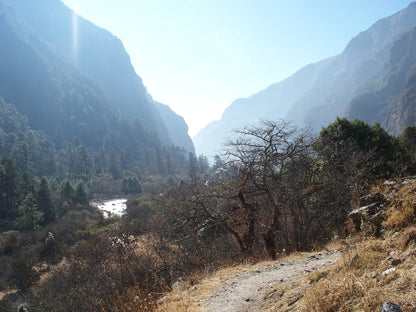 Langtang Valley tea house trek