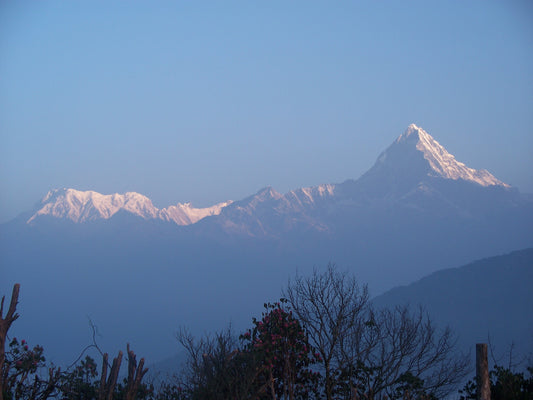 Ghorepani Poon Hill trek, Nepal - trek for Jetty Lane, Woodbridge charity; 17th - 27th October 2026