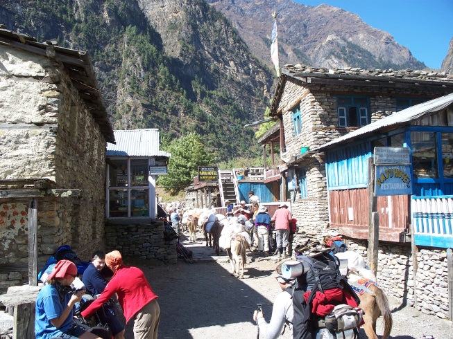 Annapurna Circuit - tea house trekking holiday in Nepal