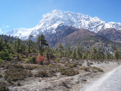 Annapurna Circuit - tea house trekking holiday in Nepal
