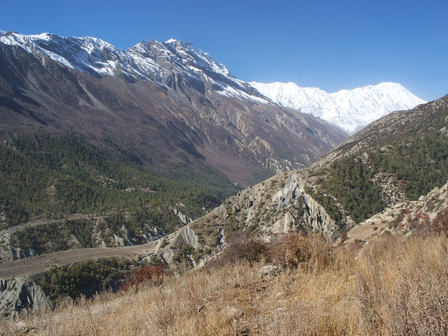 Annapurna Circuit - tea house trekking holiday in Nepal