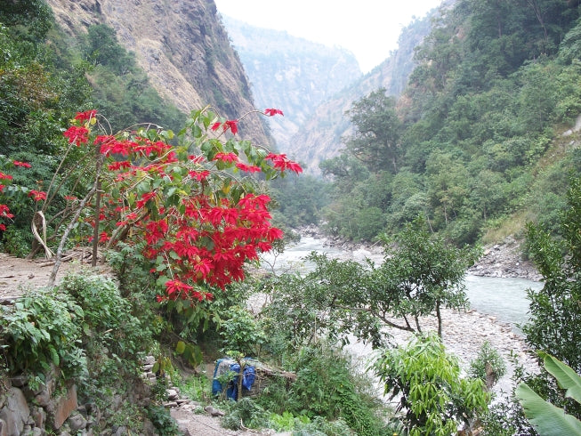 Lower Manaslu villages trekking holiday - Nepal