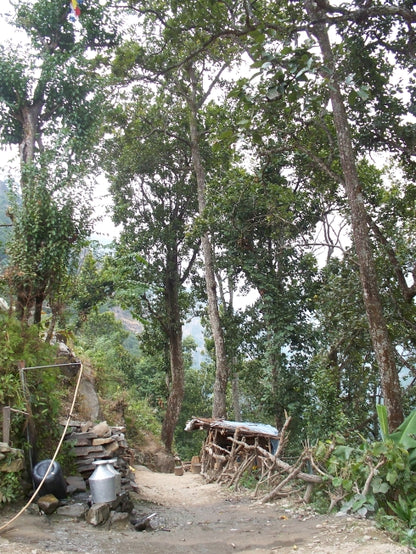 Lower Manaslu villages trekking holiday - Nepal