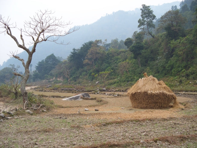 Lower Manaslu villages trekking holiday - Nepal