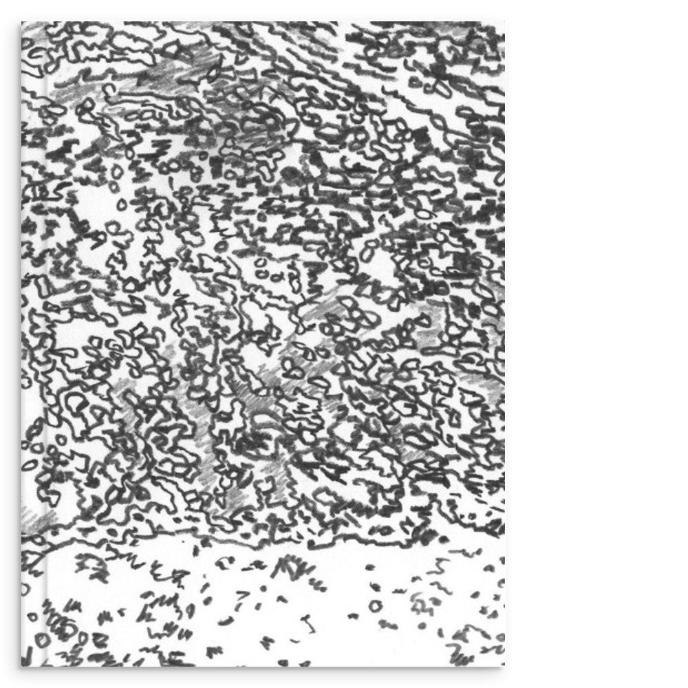 50e60027-e291-4490-bbf7-2c57b75112f2