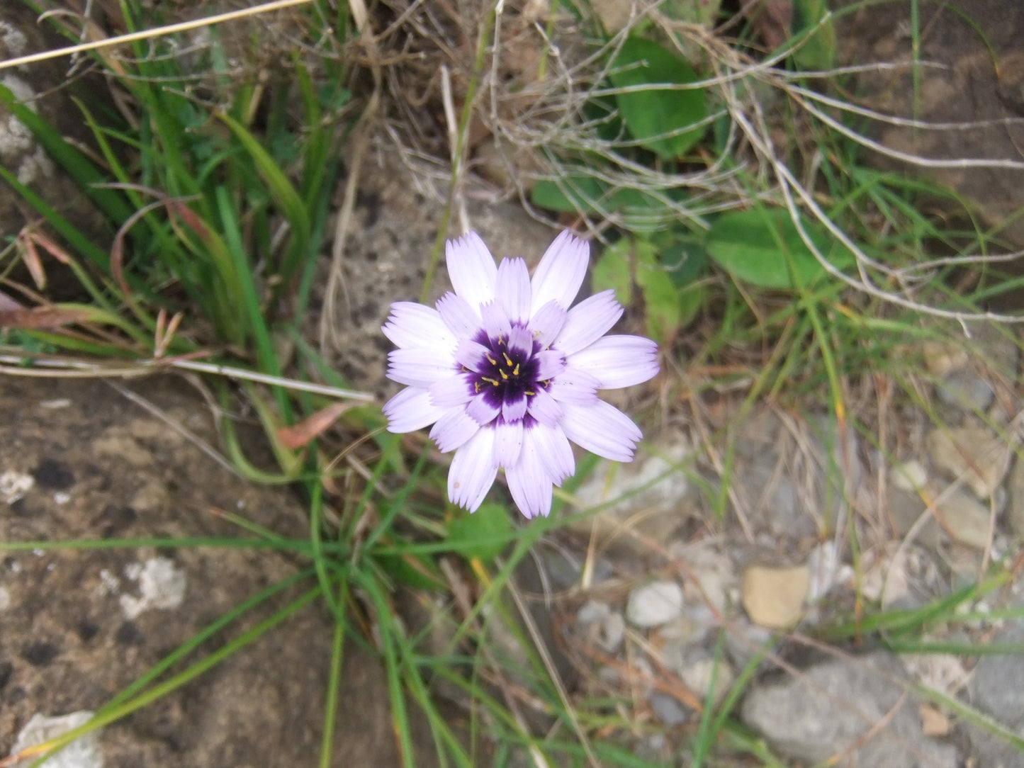 Bestue bespoke trekking holiday - Spanish Pyrenees