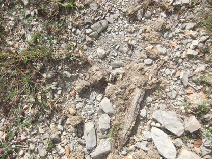 Bestue bespoke trekking holiday - Spanish Pyrenees