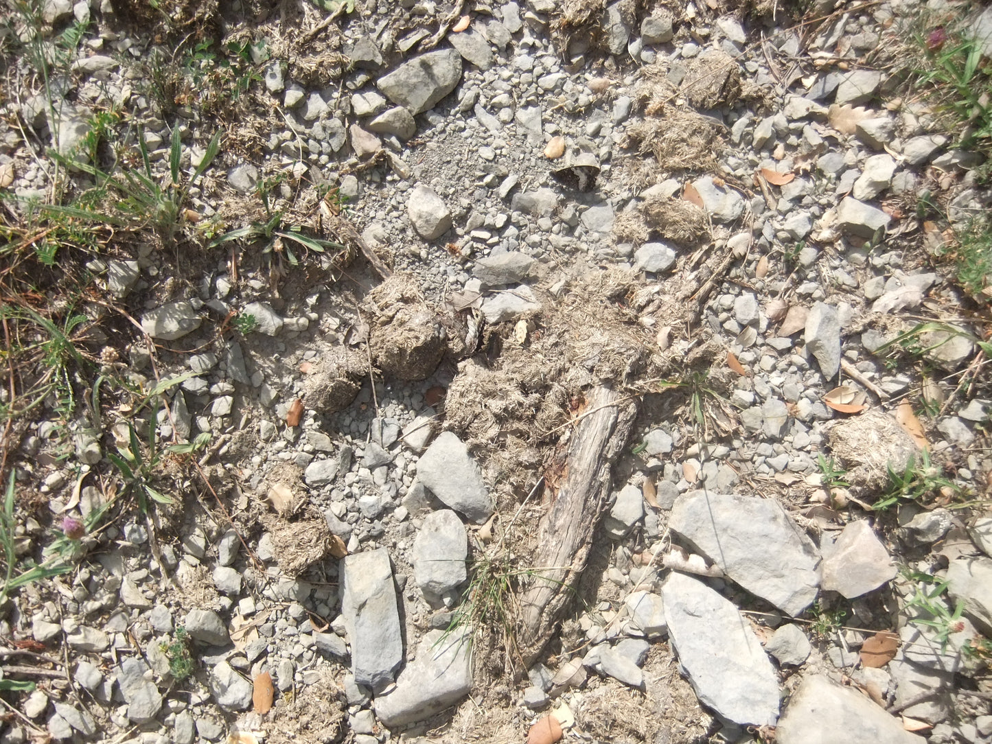 Bestue bespoke trekking holiday - Spanish Pyrenees