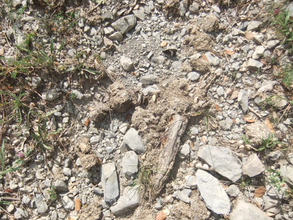 Bestue bespoke trekking holiday - Spanish Pyrenees