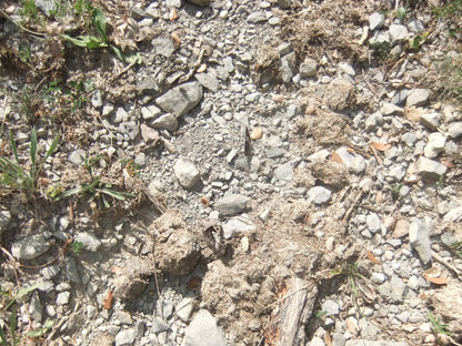 Bestue bespoke trekking holiday - Spanish Pyrenees