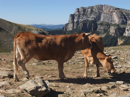 Bestue bespoke trekking holiday - Spanish Pyrenees