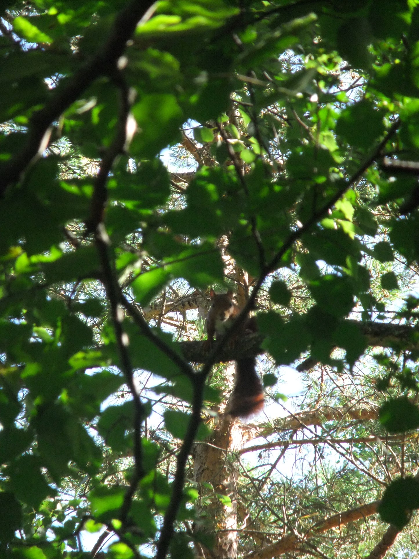 Bestue bespoke trekking holiday - Spanish Pyrenees