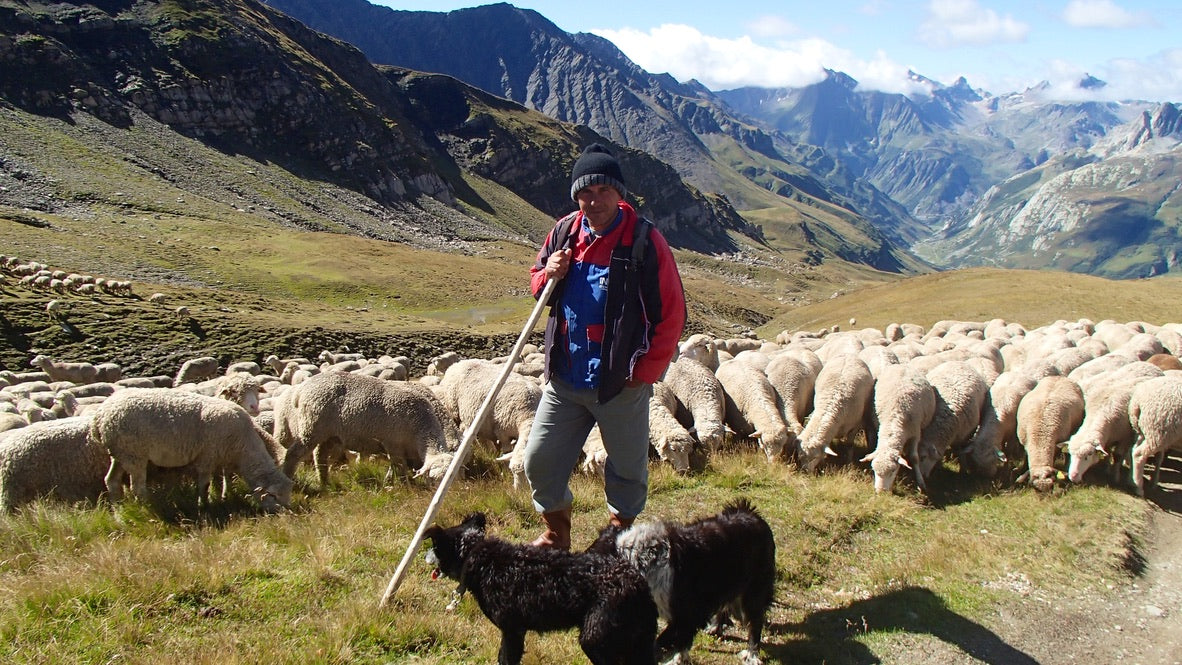 Tour de Mont Blanc - 9 day self guided trek