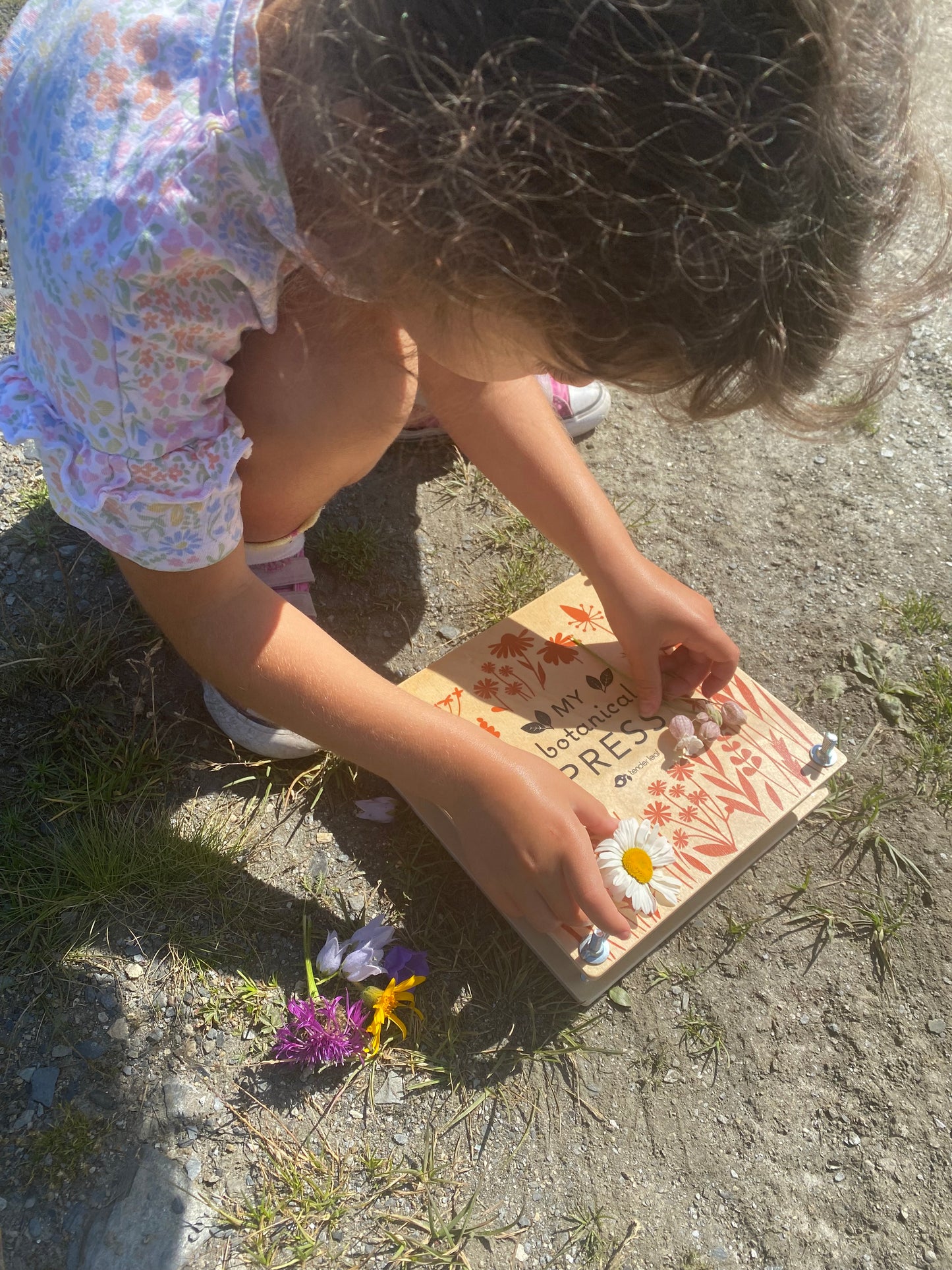 Séjour randonnée en famille à Verbier - 8 jours