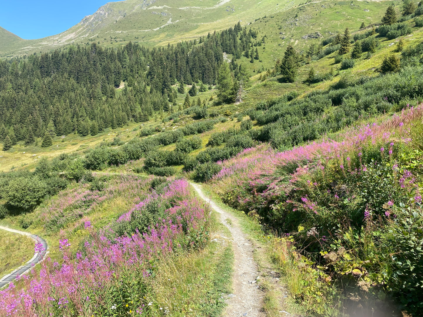Randonnée guidée d'une journée à Verbier