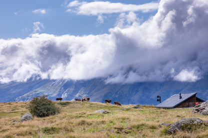 Tour de Mont Blanc - 10 day guided trek