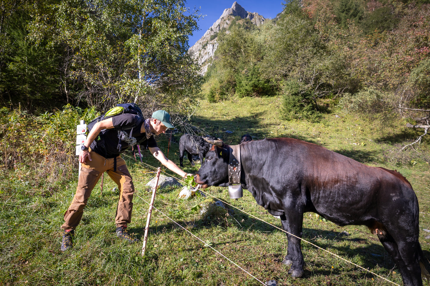 Tour de Mont Blanc - 10 day guided trek