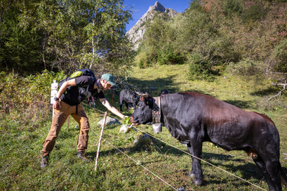 Tour de Mont Blanc - 10 day guided trek