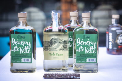 Tour de Mont Blanc - 10 day guided trek