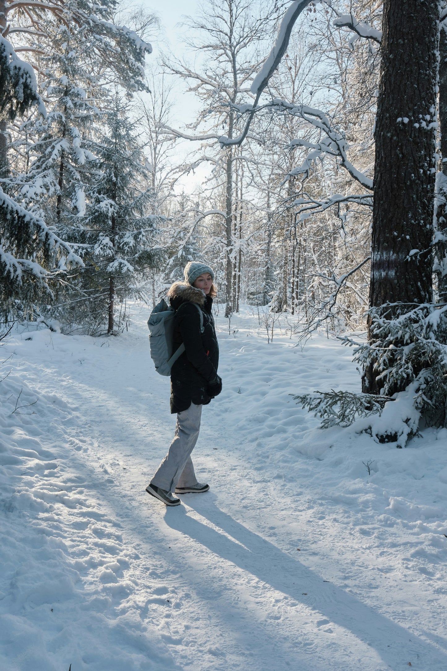 Ladies guided winter walking & snowshoeing day