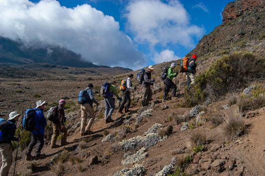 Lemosho route - Kilimanjaro