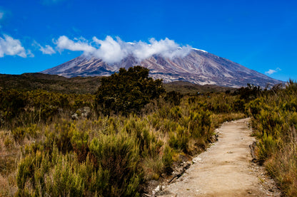Lemosho route - Kilimanjaro