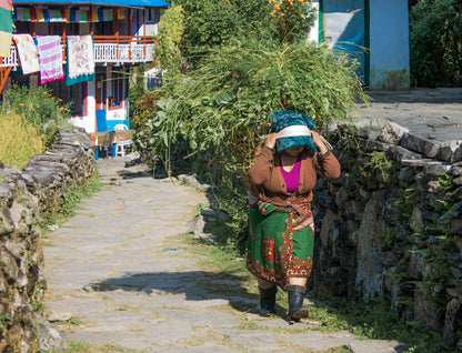 Ghorepani Poon Hill trek, Nepal - trek for Jetty Lane, Woodbridge charity; 17th - 27th October 2026